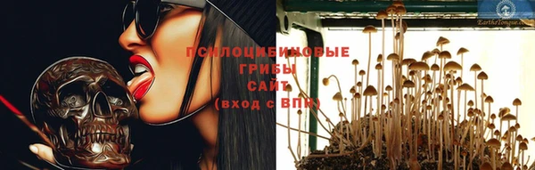 PSILOCYBIN Абаза
