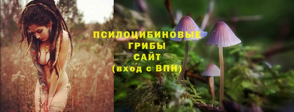 PSILOCYBIN Абаза