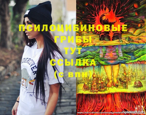 кокаин премиум Алексеевка