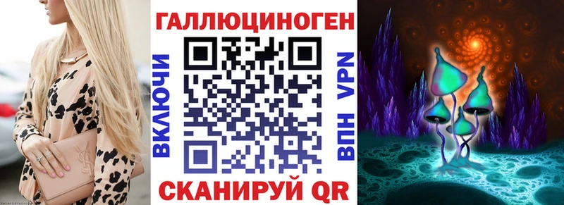 Псилоцибиновые грибы Psilocybe  Тырныауз 